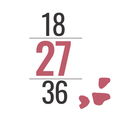 Step 2